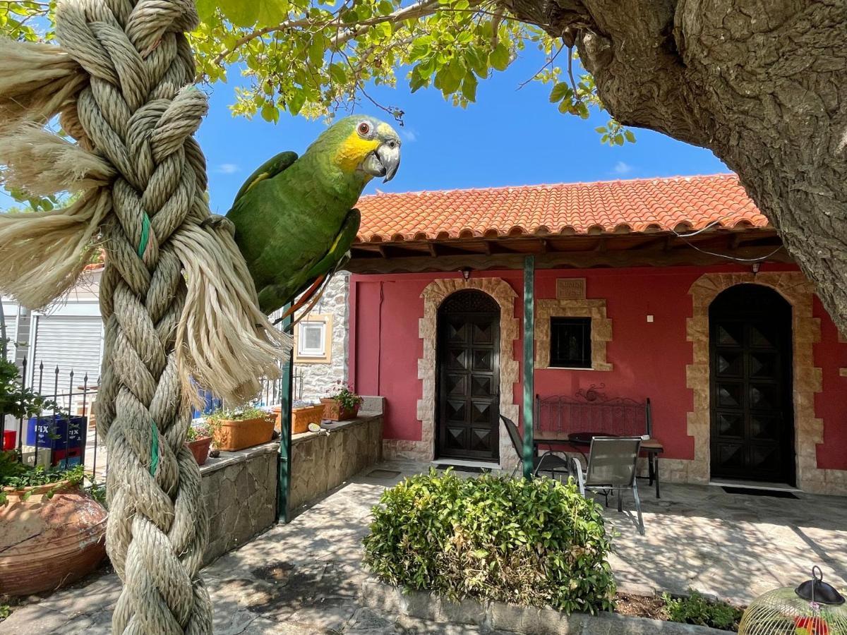 Terracotta Boutique Beach Studios Mithimna Exterior foto